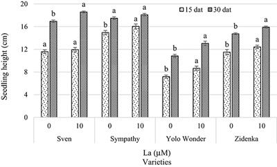 Lanthanum Affects Bell Pepper Seedling Quality Depending on the Genotype and Time of Exposure by Differentially Modifying Plant Height, Stem Diameter and Concentrations of Chlorophylls, Sugars, Amino Acids, and Proteins